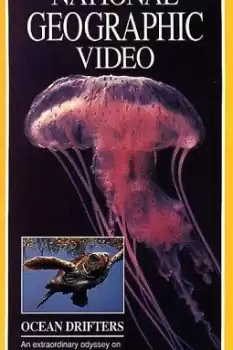 Jellies & Other Ocean Drifters
