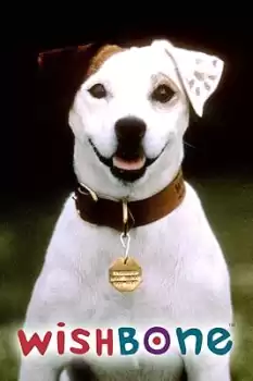 Halloween Hound: The Legend of Creepy Collars: Part 1