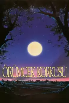 Arachnophobia: Örümcek Korkusu