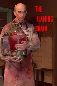 The Flaming Brain