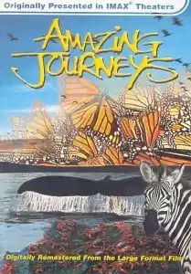 Amazing Journeys