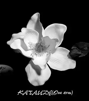 Kataude