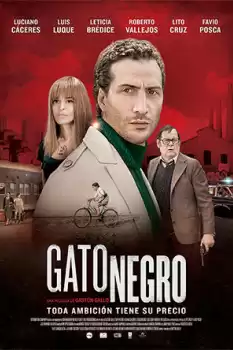 Gato negro