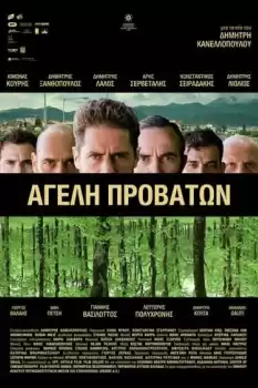 Ageli provaton