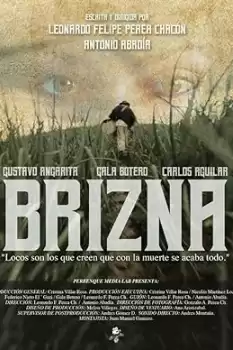 Brizna